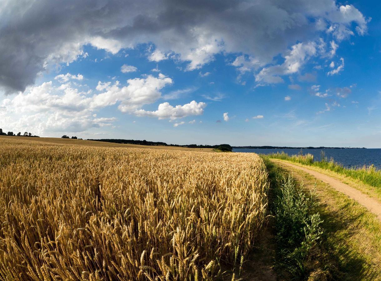 Haus Sonne _ Meer Sierksdorf Bagian luar foto
